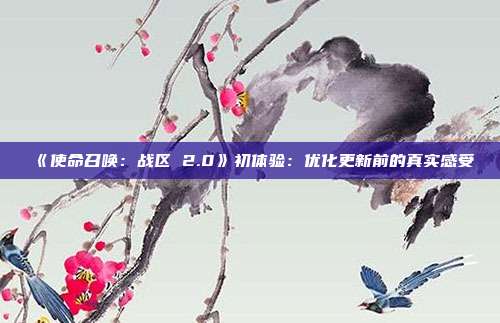 《使命召唤：战区 2.0》初体验：优化更新前的真实感受