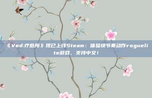 《Ved:疗愈所》现已上线Steam：体验快节奏动作roguelite游戏，支持中文！