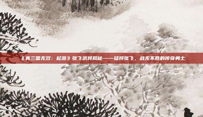 《真三国无双：起源》张飞武将揭秘——猛将张飞，战无不胜的传奇勇士