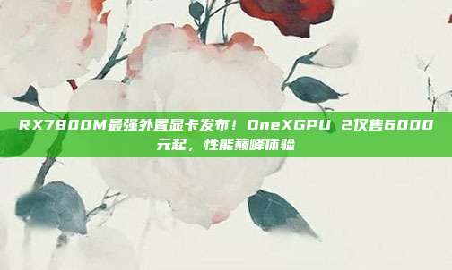 RX7800M最强外置显卡发布！OneXGPU 2仅售6000元起，性能巅峰体验