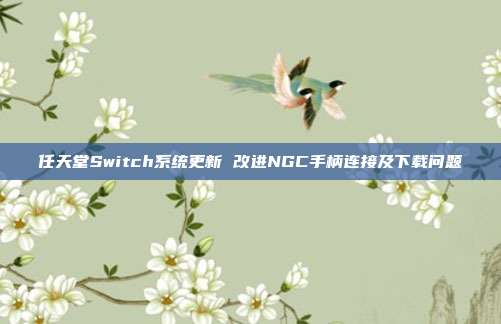 任天堂Switch系统更新 改进NGC手柄连接及下载问题